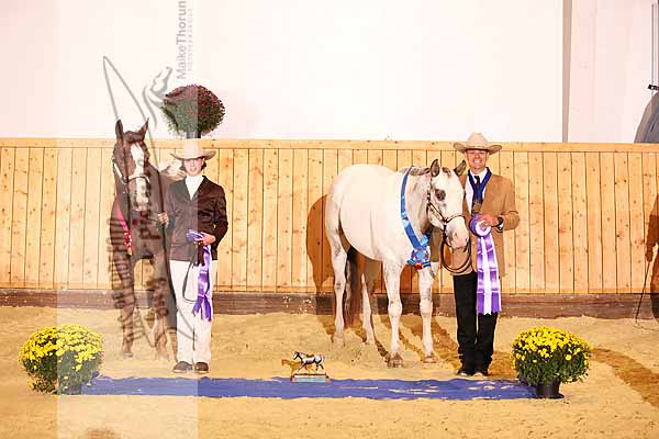 Preview MTH_111015_2969_Sieger_Grand_And_Reserve_Champion_Geldings2.jpg