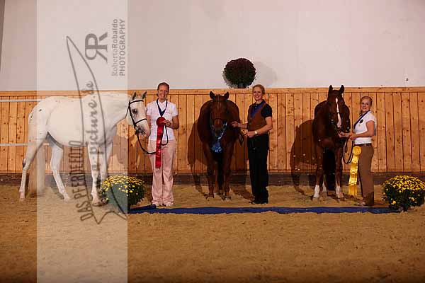 Preview RR_111013_9879_Sieger_Hunter_in_Hand_Mares.jpg