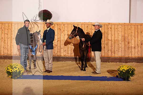 Preview MTH_111015_2638_Sieger_Weanling_Fillies_Non_Pointed2.jpg