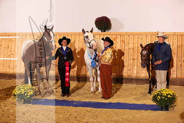 Preview MTH_111014_0483_Sieger_Non_Pro_Halter_Geldings_All_Ages3.jpg